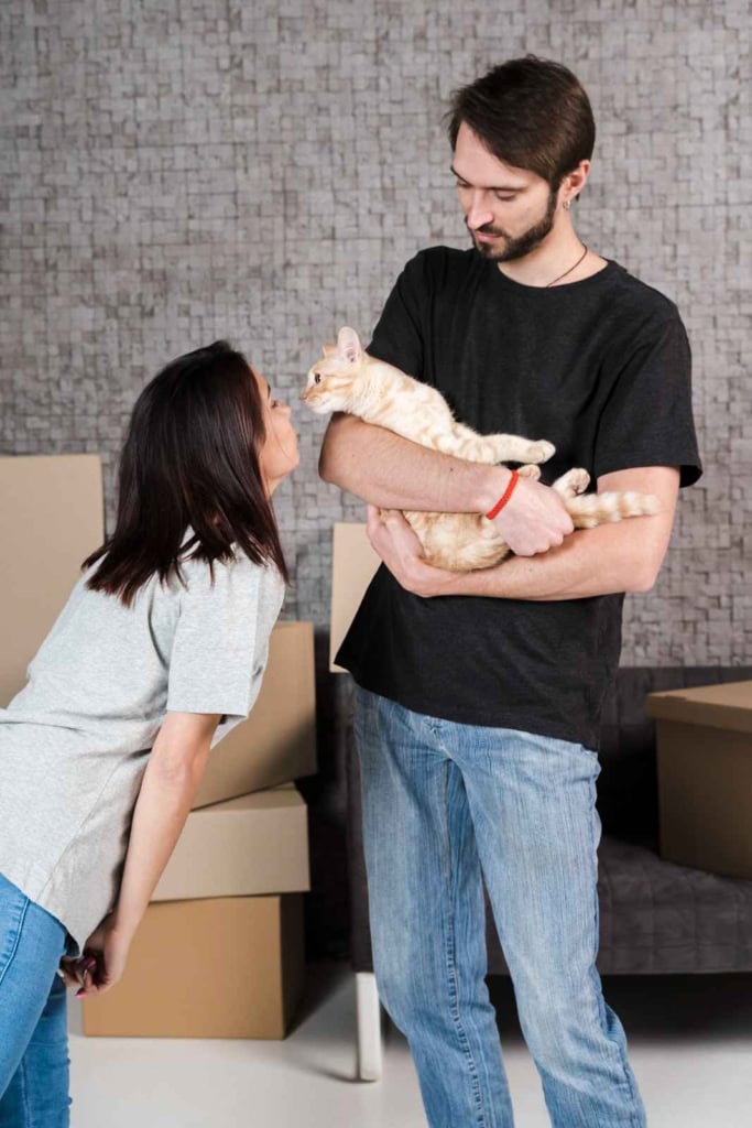 Moving With Pets: Keeping Your Animals Safe, Calm, and Settled During a Move