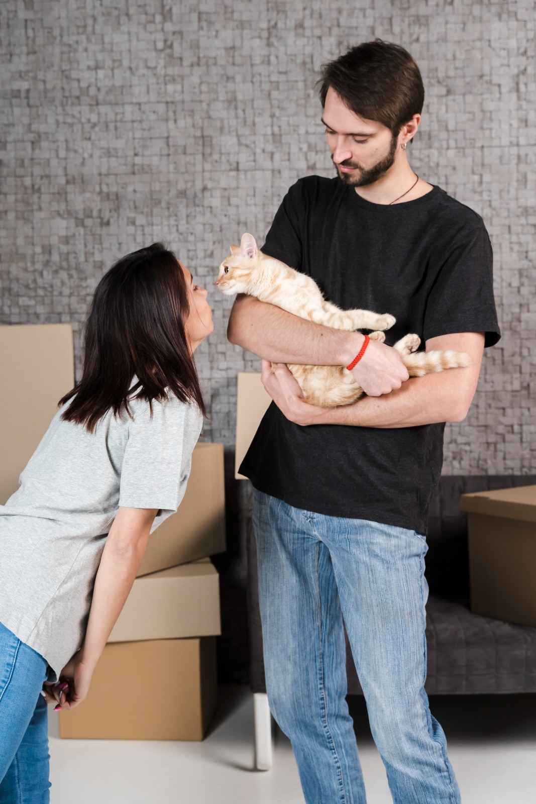 Moving With Pets: Keeping Your Animals Safe, Calm, and Settled During a Move